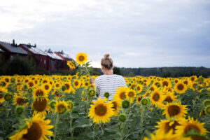 Aprende cómo fotografiar flores como un profesional